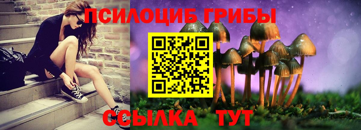 Псилоцибиновые грибы прущие грибы Орск